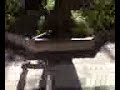 Alvaros 50-50 fs shuv