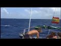 Big Yellow Fish Tuna