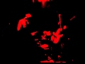 Ver Video