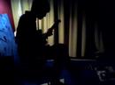 Electric Guitarist - Birds Electric Guitarist - Birds