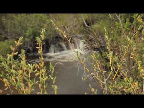 Water issues, alive! 