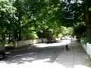 jamaica plain tour