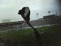 O Vasco é o time da virada, o Vasco é o time do amor!!
