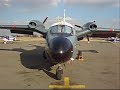 Brakpan / S-Africa: flying for food