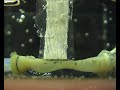 propagating oscillations propagating oscillations