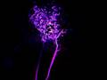 DJ Tutor - Jasons , EVENT PANEL LIGHTING SYSTEM pt 2