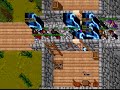Tibia OT  /Softcore Venore Battle