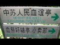 Chinglish !!!