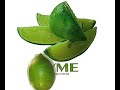 LYME 2008 LYME 2008