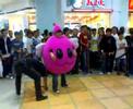 sumo poring