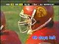Troy Polamalu is a thug, and a sh1t human being