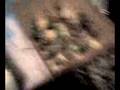 videos de yo