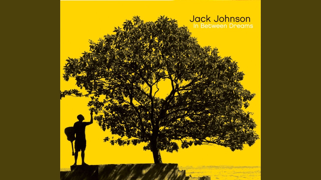 In Between Dreams - Jack Johnson [VINYL]