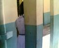 nsan c gelli? nsan c gelli?