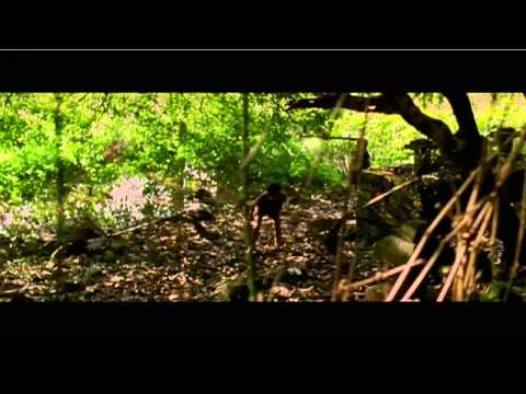 Manjadikuru videos.