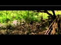 Anjali Menon videos.