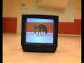 Dog - TV Dog - TV