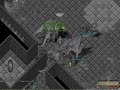 UO Halloween 2008 Quest Boss Fight with Sicarii