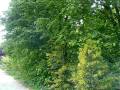 Le Printemps Arrive