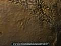 videos de Volo su marte con dissolvenze - Dott. Bartolomeo Davide Bertinetto