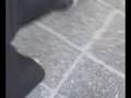 escabiados en lo del cabra