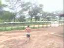 Fazenda milho Novo Ouricuri-Pe