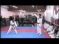 TeaKwonDo 540 Kick Board Break  (Lima Academy USA)