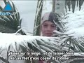 La tempête de neige \"Winograd\" s\ La tempête de neige \"Winograd\" s\