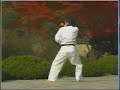 17. Taekwondo Poomsae Ilyo (WTF)