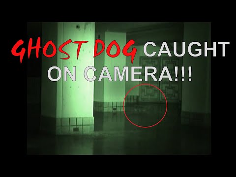 Mystic Ghost - Baker Hotel Apparition Footage