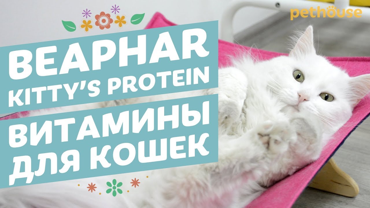 Витамины для взрослых кошек Beaphar Kitty