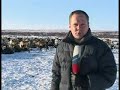Reindeer Herding on the Yamal Peninsula