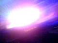 Planet-Love-2008-Sha