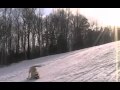 Snow Dogs
