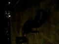 Dunster.AVI