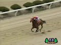 ゴール前で落馬