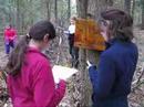 4-H Trail Blazers work
