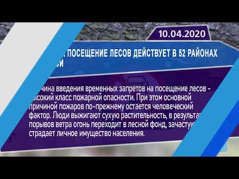 Новостная лента Телеканала Интекс 10.04.20.