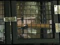 Bradley the African Grey plays with Pirate Ship