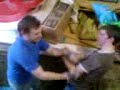 Wrestling fight 2