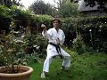 Saifa - Shito Ryu