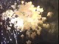 Lake Havasu City Fireworks