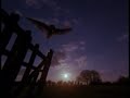 having a bit of spare time on my hands, and some experience already with editing our travel videos, i decided to enter the bbc planet earth video editing competition. the video clips provided had to be downloaded individually (time consuming) and the audio was a dire selection. i ended up sprucing it up a bit by mixing two soundtracks together and then ripping out a narrative from an old 1950s bfi documentary about the seaside ... anyway, not perfect, but it did the job!