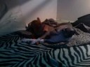 iggy & chi loving each other