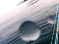 ザクティ水中動画「マダイ釣れました」