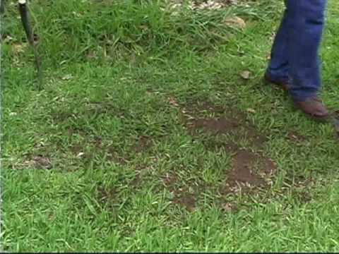 how to patch turf