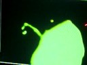 Laser Creativity