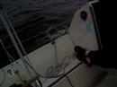 Sailing X-79 kosmix (1)