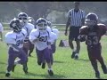 Wild Cats 2006