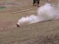 Traxxas T-Maxx's in action